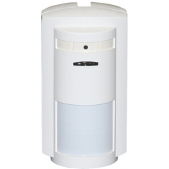 Сова-2 (исп. А). (Распродажа. На складе 1 шт.)