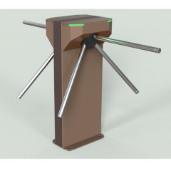 Ростов-Дон Т-273М1