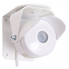 Тюльпан 1-1-1