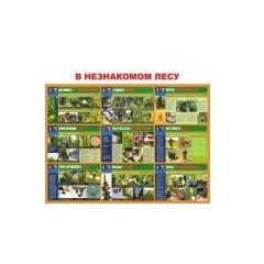 В незнакомом лесу (А3, 10л) (Распродажа. На складе  4 шт.)