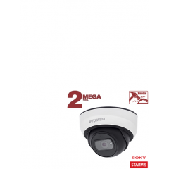 SV2005DBS (2.8 мм)