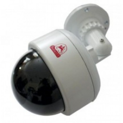 SR-D54V2810 в к цв.куп