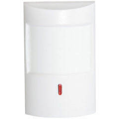 Рапид, вар. 2