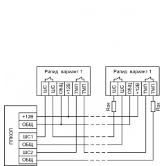 Рапид, вар. 1