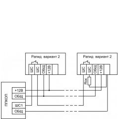 Рапид, вар. 2