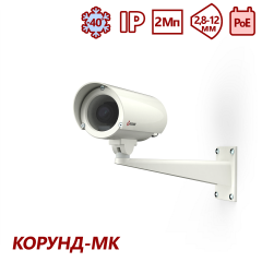 ТВК-61-IP-5-V2812-PoE