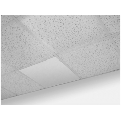 Толмач-П-Армстронг Р-F-1