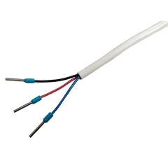 ДПМ-2 исп.00 R ПАШК.425119.021
